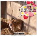 명준농장 이미지