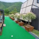 버드글램핑 이미지