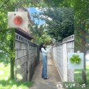범어사가야밀면 | 6월 일상 야호~ 벌써 하반기라니 파라파라나 춰야겠다