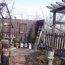 M.S garden 이미지