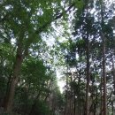 카페만디 이미지