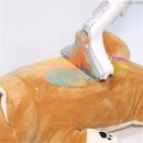 원샷 | 패브릭 소파, 카페트, 매트리스 청소 고민 끝! 디클 원샷클린 솔직 후기