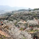 섬진소프트 이미지