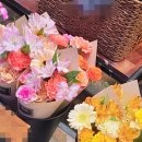 청솔화원 이미지