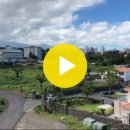 발트하임 이미지