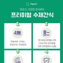 견식파티 이미지