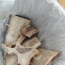 다왕갈비탕 | 영천현지인맛집 :-) 다왕 갈비탕 영천점 내돈내산 찐 후기