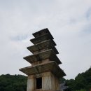 산양2세천 | [구미시 블로그 공모전] “거북이가 함께한 찬란한 도시 - 구미 역사탐방기”