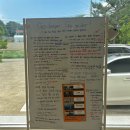 윤슬스테지 | 강원도 고성 감성 숙소, 맹그로브 고성 1박 후기ㅣ바다 보며 멍 때리기 좋은 곳🏖️