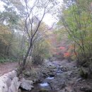 구마일주통나무산장 이미지