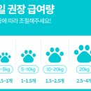 이미지덴탈 | 굿포펫 강아지 이즈바이트 버블덴탈껌 고구마맛 치석제거 개껌 솔직후기