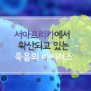 치사율 90％? 에볼라 바이러스의 모든 것, 너는 누구냐! 이미지