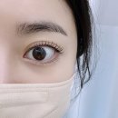 뮤랑 | 대전 뮤니트 솔직후기 l 도안동 속눈썹펌 추천