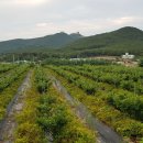 배식농장 이미지