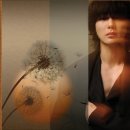 Dandelion Day. 이미지
