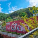 더오딘펜션(K동) | 깔끔하고, 부대시설 좋은 강원도 홍천 숙소 '더오딘 펜션' 숙박 후기 / 비발디파크, 오션월드 근처 숙소