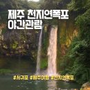 천지연무태장어천지연 | 제주 서귀포 천지연폭포 관람시간 입장료 우천시 야간개장 솔직후기