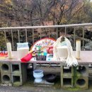 수원천로447번길 이미지