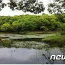 선정1리마을회 이미지