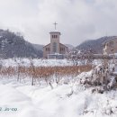 대림특강 주제: 내 님은 어디에 있나? 평택 세교성당에서 대림특강 양성성당 이그레고리오신부님 이미지