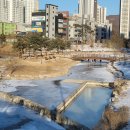 바람꽃공원 이미지