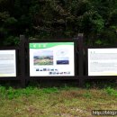 돗오름 주차장 이미지