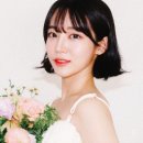 노르웨이숲 이미지