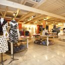 명동 파티·파티 이미지