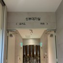 [결혼준비] 보타닉파크웨딩 카라홀/오키드홀 비교 및 셀프 계약 후기 (견적 공유)