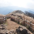 일렁이는 이미지