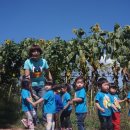 큰별나라어린이집 이미지