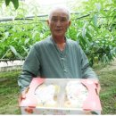 송학농장 이미지