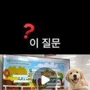 연미초교 네이버블로그