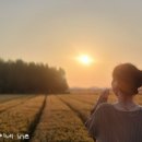 군산현대주유소 이미지