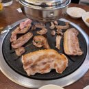 도봉-도봉-서울도봉-2227 이미지