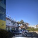 쌍쌍오리한마당 수성못점 | 대구 수성못맛집 쌍쌍오리한마당 수성못점 점심특선 후기