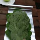 고고씽펜션 이미지