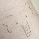 개거품그루밍 | 오랜만에 글쓰기 전에 몸푸는 정도로 최근 근황을 읊어보자!