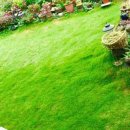 동산농원 이미지