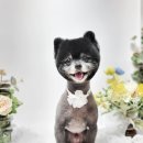 트루디독 이미지