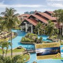 우먼센스 이미지