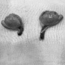 동주동물병원 이미지