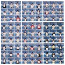 챔피언태권스쿨 이미지