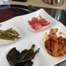 째까니 | 제주 말고기 맛집 몰돗 후기｜제주도 말고기 식당 추천 (내돈내산)