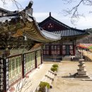 동양불교사 | 한국 3대 사찰은 왜 늘 이 세 곳일까? 순위가 아닌 ‘불교의 역할’로 읽는 사찰 여행