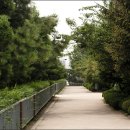 봉은중학교 이미지