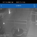 스타펫미팅 이미지