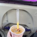 진도개인택시(백용국) | 대만 타이베이 예스폭지 버스투어 내돈내산 상세 찐후기