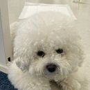 하이투유스튜디오