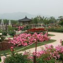 장미공원B 이미지